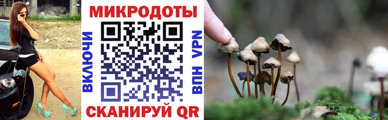Псилоцибиновые грибы MAGIC MUSHROOMS  Цоци-Юрт 